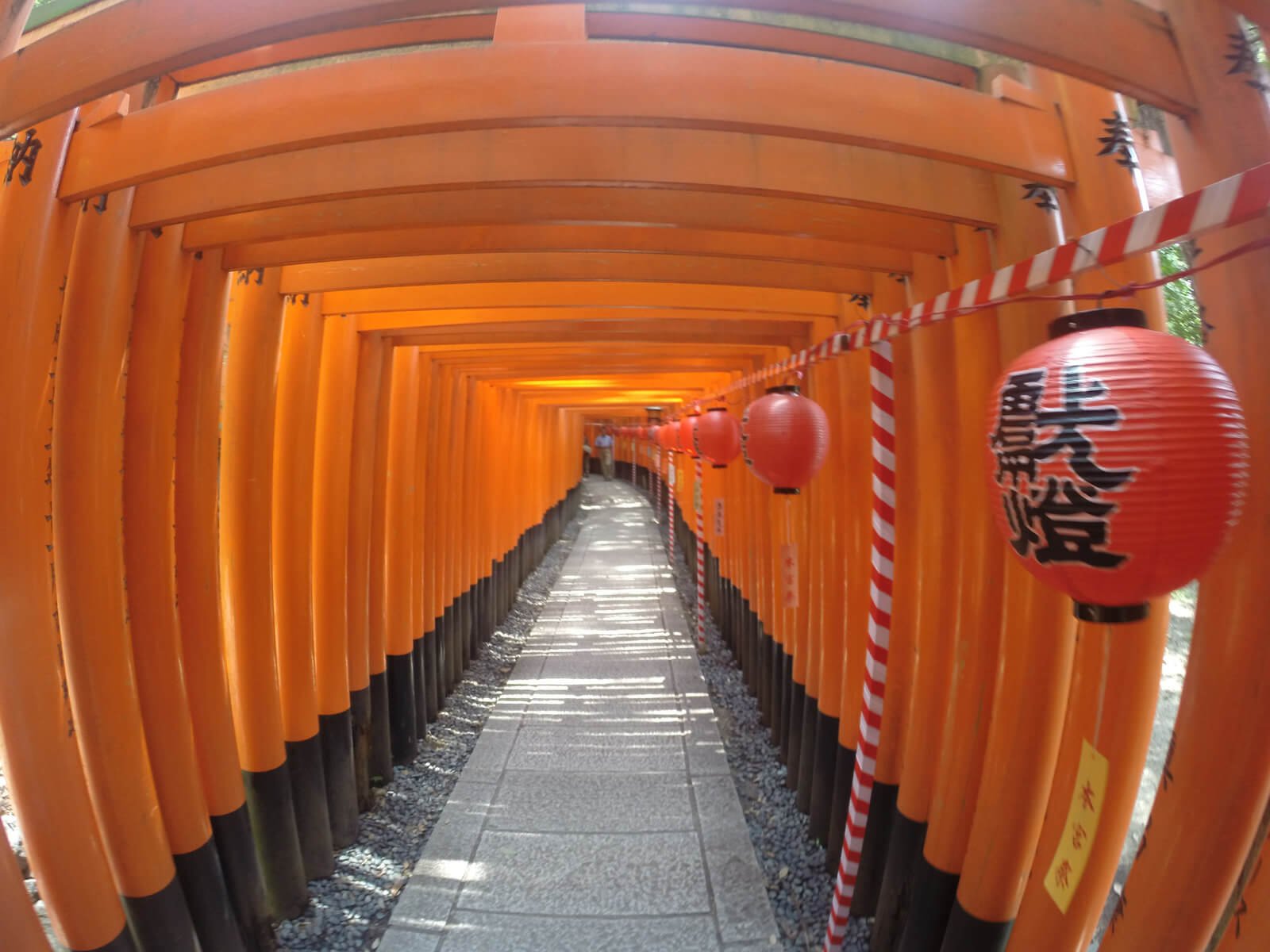 GoPro still of the red gates of Fushimi Inari-taisha in Kyoto